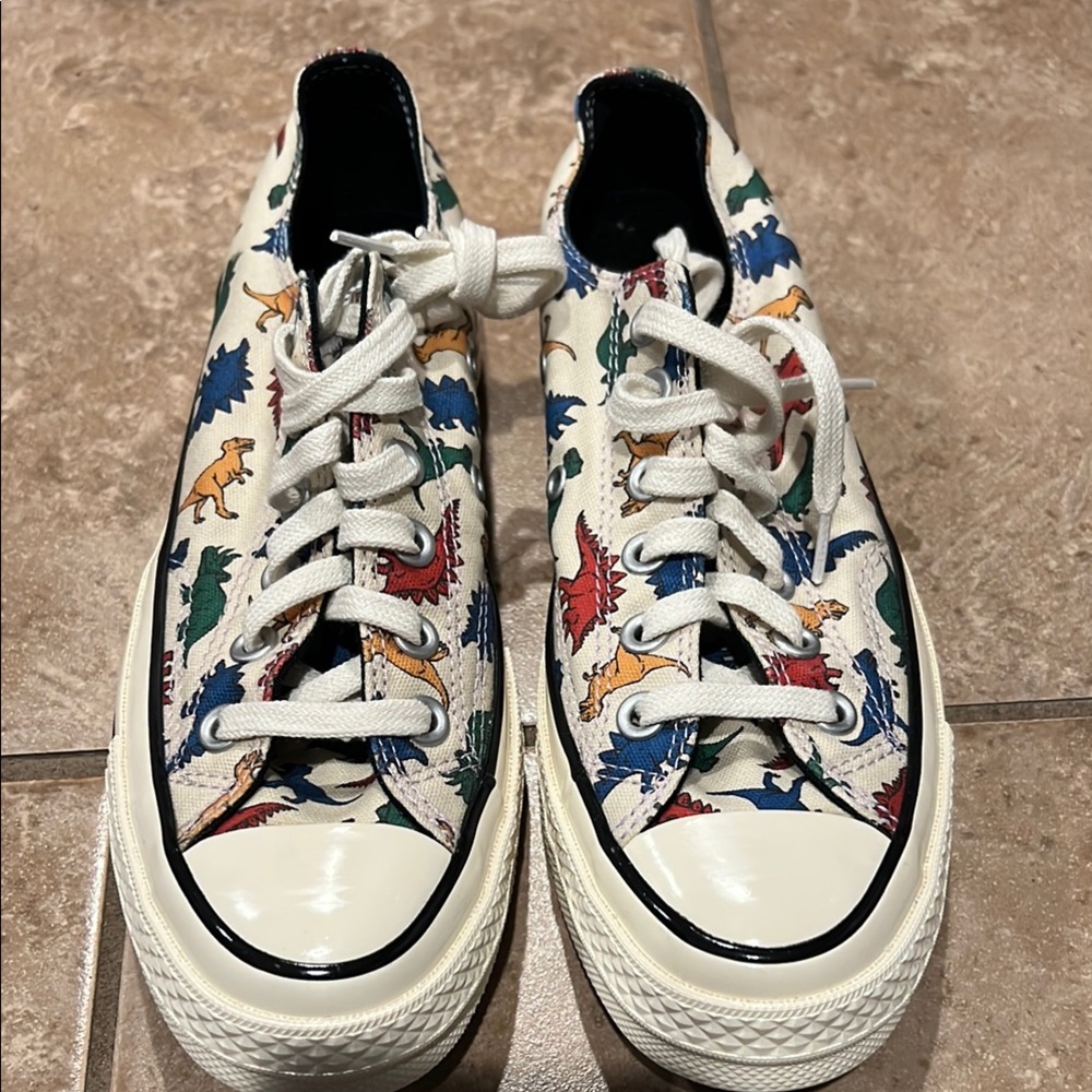 Converse Dinosaur Print Athletic Shoes